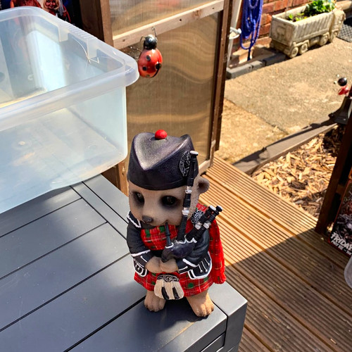 Multicoloured meerkat bagpiper - multicoloured,