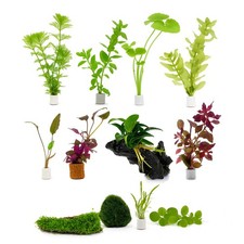 AquaGarden Nano – Complete Live Aquascape Kit – Easy Desktop Ecosystem