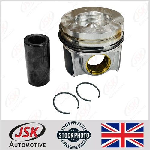Type piston with rings for - with,