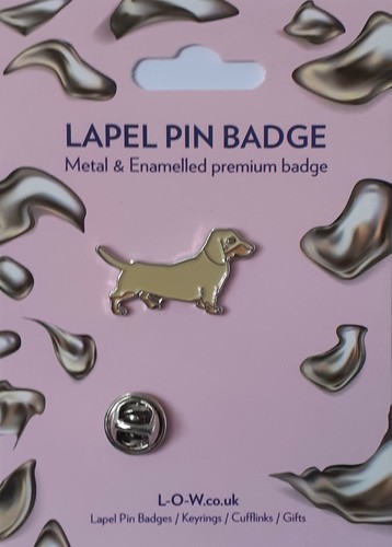 Dachshund sausage dog pet - dachshund,