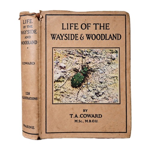 Life the wayside - the,