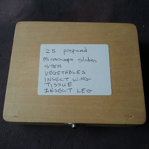 Microsope slides - 25,