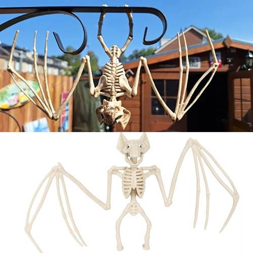 Halloween bat skeleton creepy - halloween,
