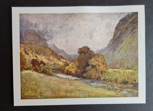 Antique 1908 print john s - st, john's
