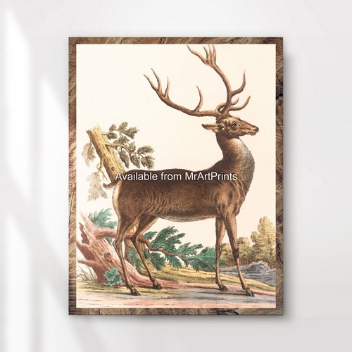 Stag painting art print - stag,