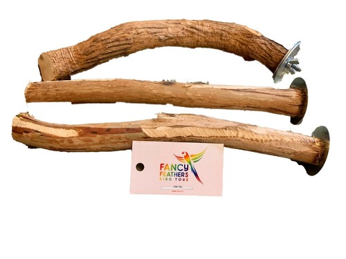 Fancy feathers bird toys - fancy,