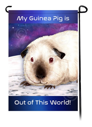 Out this world garden flag - out,