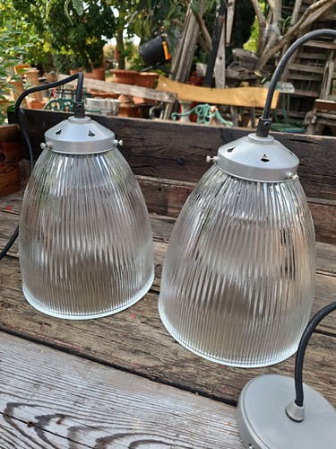 Pair holophane prismatic glass - holophane,