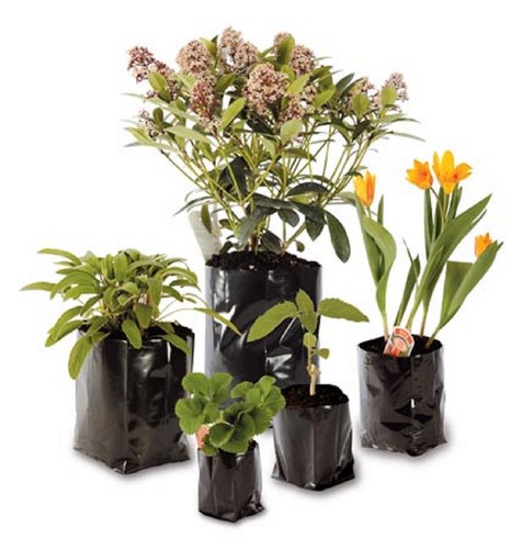 Poly pots strong grow bag - pots,