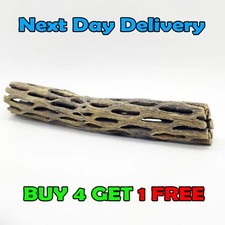 Cholla Wood 6inch - Aquariums
