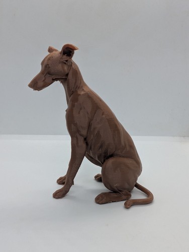 Greyhound lurcher whippet - lurcher,