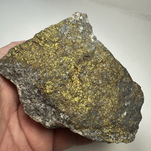 Chalcopyrite peacock ore - peacock, on