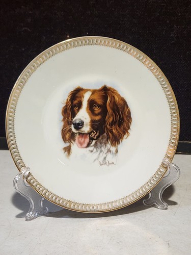 Vintage springer spaniel dog - vintage,