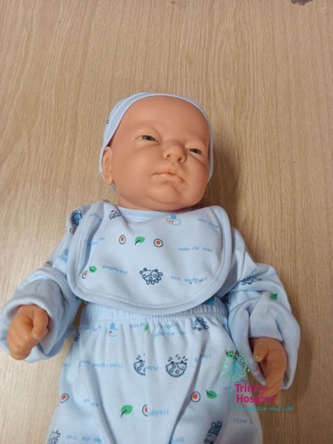 Reborn baby doll - blue, hedgehog