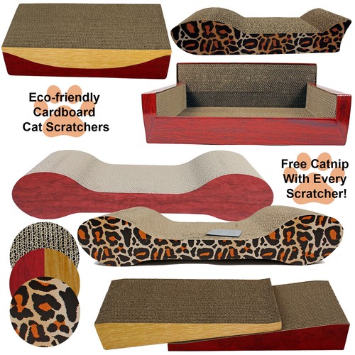 Cat kitten cardboard - cat,