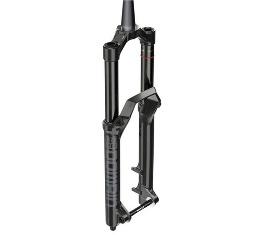 Rockshox domain fork - r,