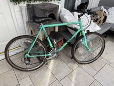 Raleigh Lizard Mountain Bike Retro Old School Unisex Vintage Bargain