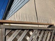 Pigeon Bird Spikes Wall Fence