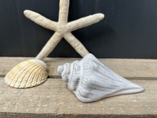 Cream Glazed Porcelain Small