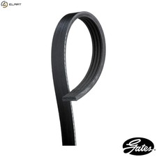 VRIBBED BELT 4PK850 FOR GEO