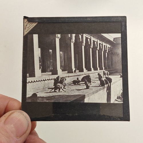Magic lantern slide - magic, hathor