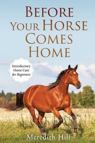 Before your horse comes - comes, home