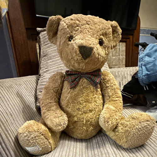 Vtg 1995 connoisseur bear - vtg,
