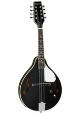 Tanglewood TWM T BKPE Teardrop