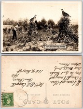 Exaggerated Farmer Hunting Giant Quail Postcard