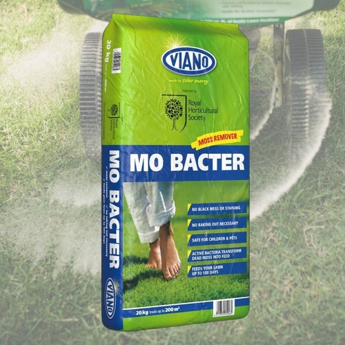 Bacter organic lawn - organic,