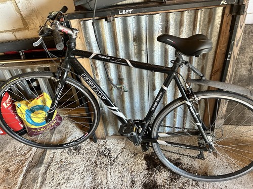 Teman road bike - teman,