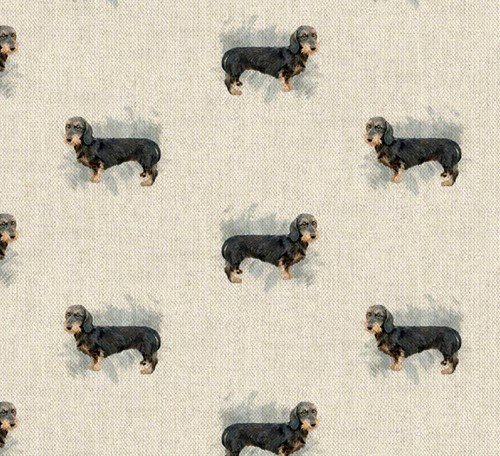 Wire haired dachshund sausage - haired,