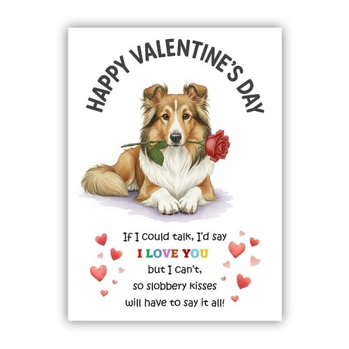 Shetland sheepdog dog - shetland,