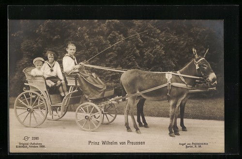 Prince william prussia in - of, prussia,