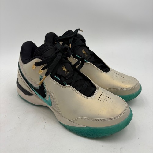 Nike lebron nxxt gen - lebron,