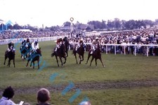 York Races 1982 runners &