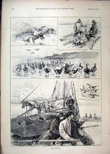 Original Old Antique Print