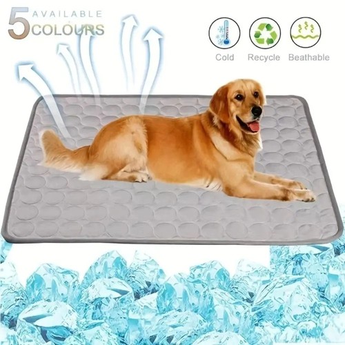Car sofa puppy blanket - sofa,