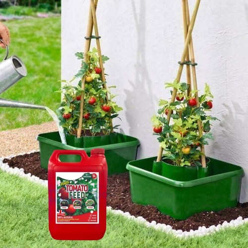 3pc tomato grow - 3pc,