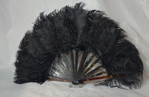 1910 1920 black - black, plume