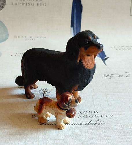 Dog ornaments dachshund st - ornaments,