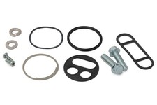 AS3 FUEL TAP REPAIR KIT for
