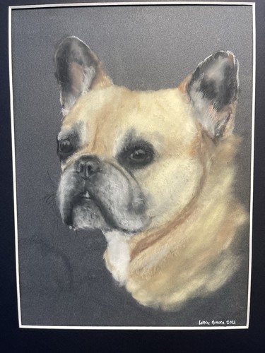 Original french bulldog - french,