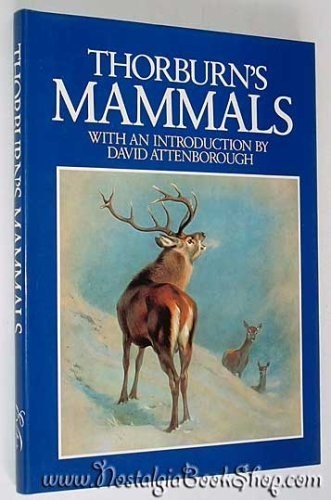 Thorburns mammals archibald - mammals,,