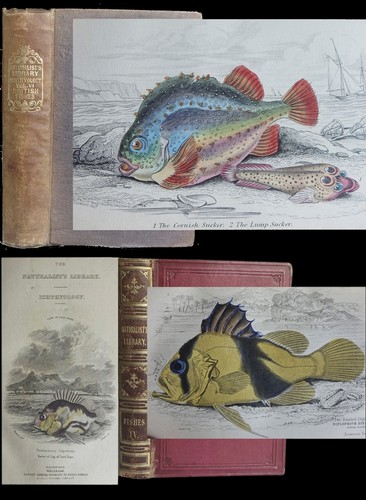 Two naturalists library - two,