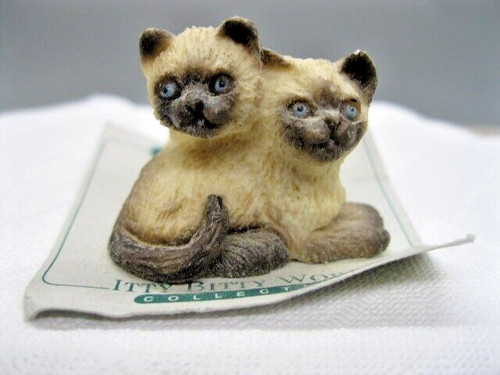 Udc siamese cats kittens - siamese,