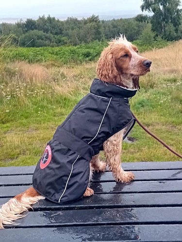 Dog coat waterproof jacket - coat,