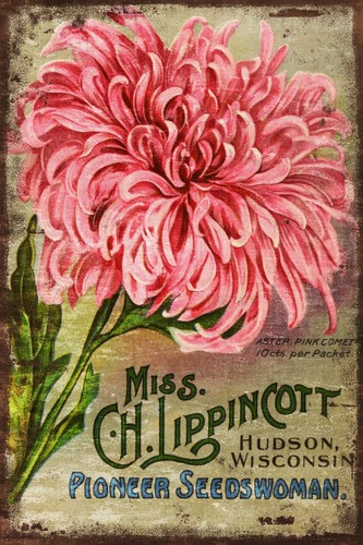 Vintage pink floral gardening - vintage,