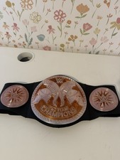WWE Tag Team Champions Replica