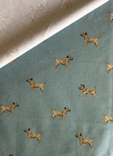Sophie allport border terrier - allport,